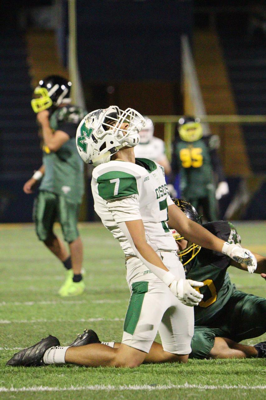 WhatsApp Image 2026-03-13 at 12.45.24 AM.jpeg