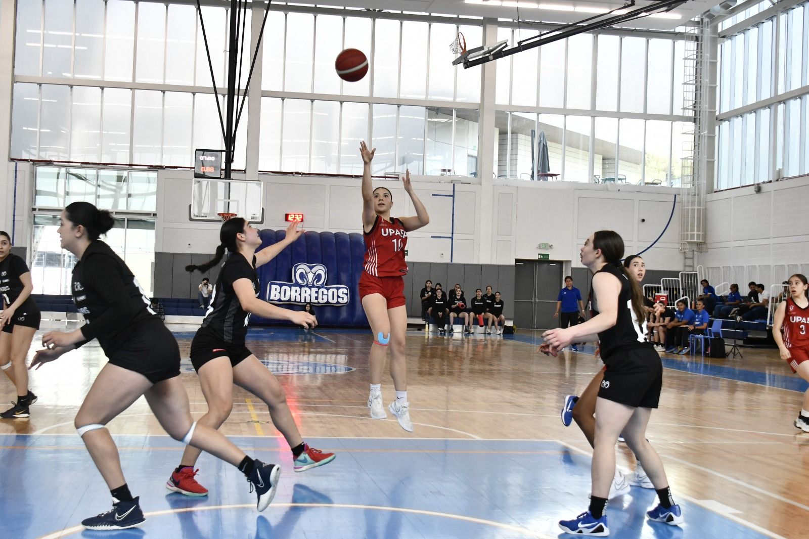 WhatsApp Image 2026-03-13 at 12.46.06 AM.jpeg