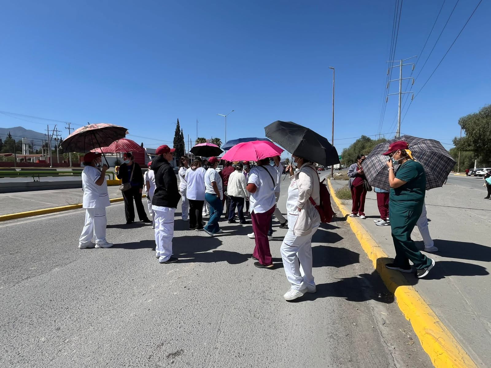 WhatsApp Image 2026-03-13 at 9.46.18 PM (2).jpeg