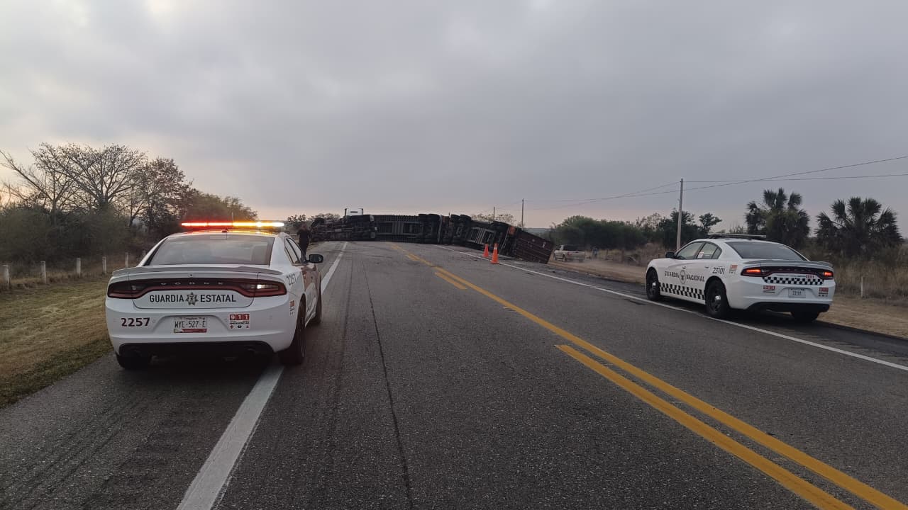 WhatsApp Image 2026-03-15 at 12.45.03 PM (2).jpeg