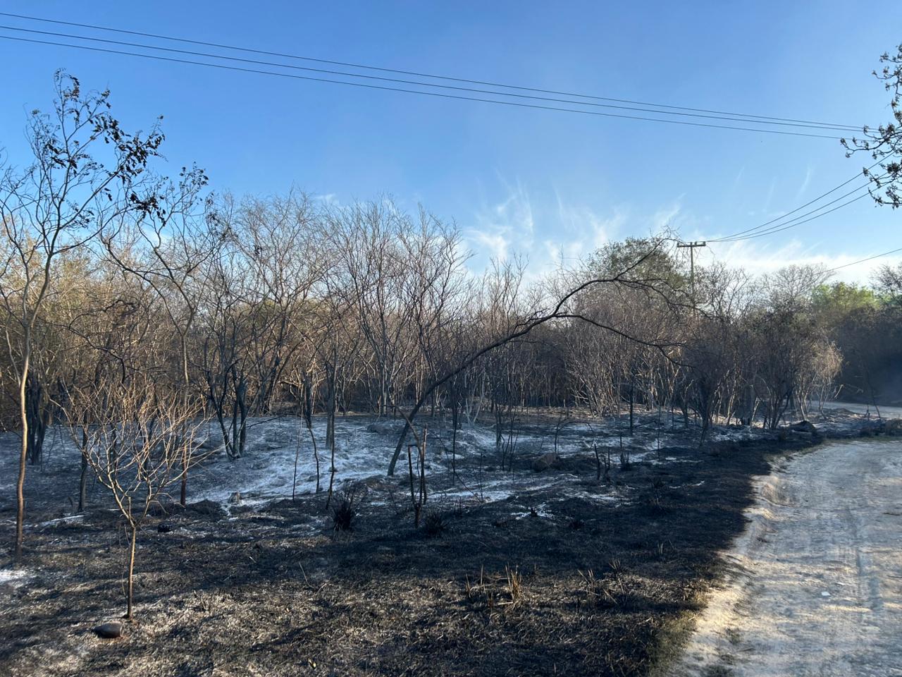 WhatsApp Image 2026-03-15 at 17.49.20.jpeg