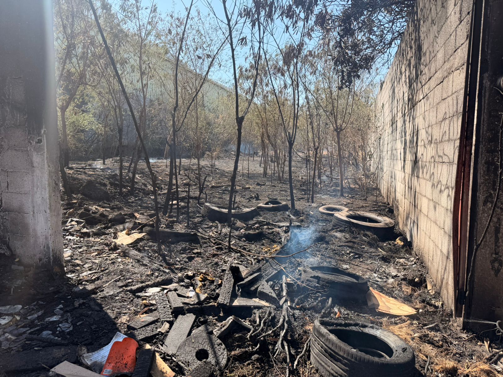 WhatsApp Image 2026-03-15 at 5.26.28 PM.jpeg