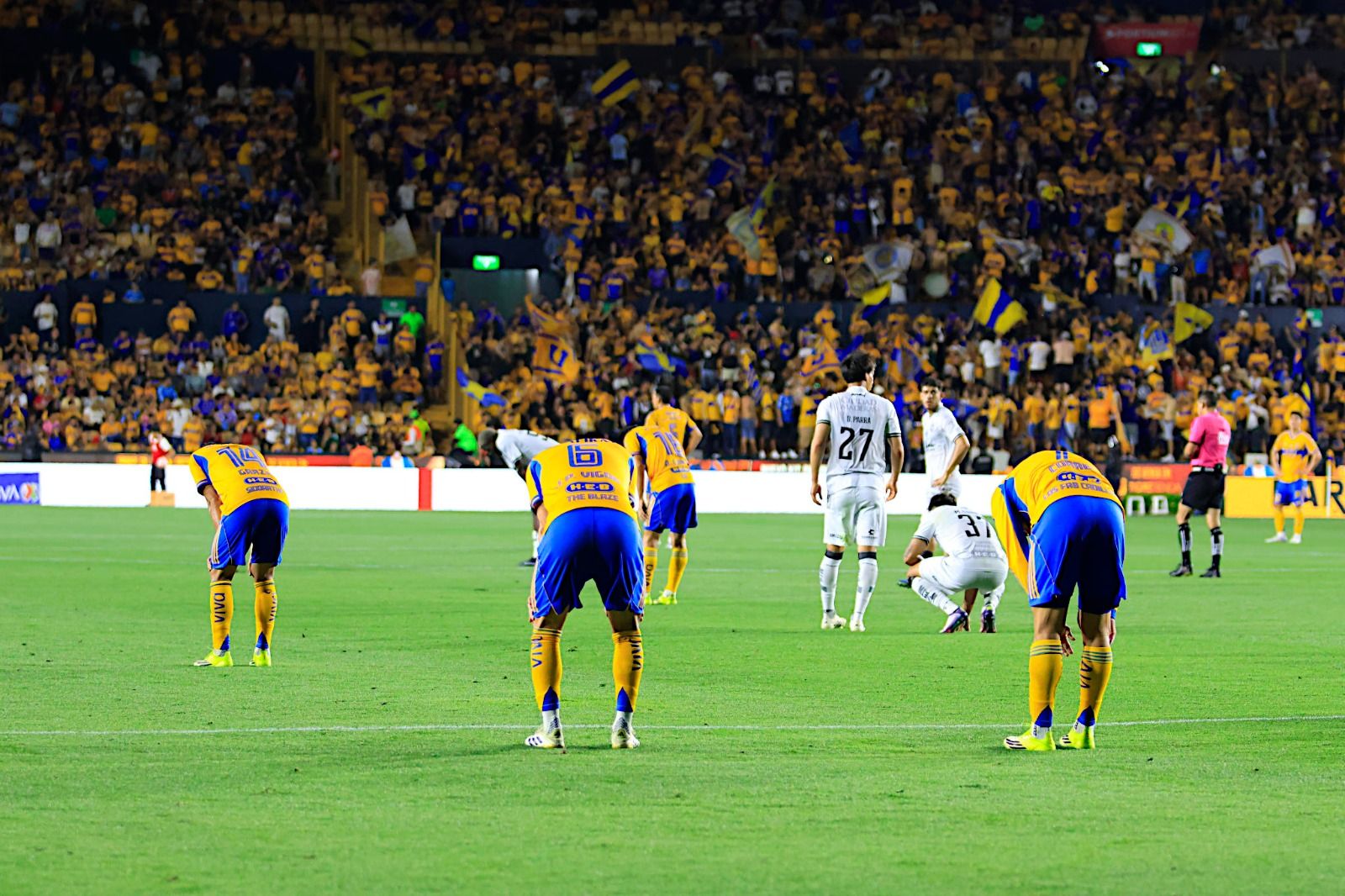 WhatsApp Image 2026-03-15 at 7.25.21 PM (1).jpeg