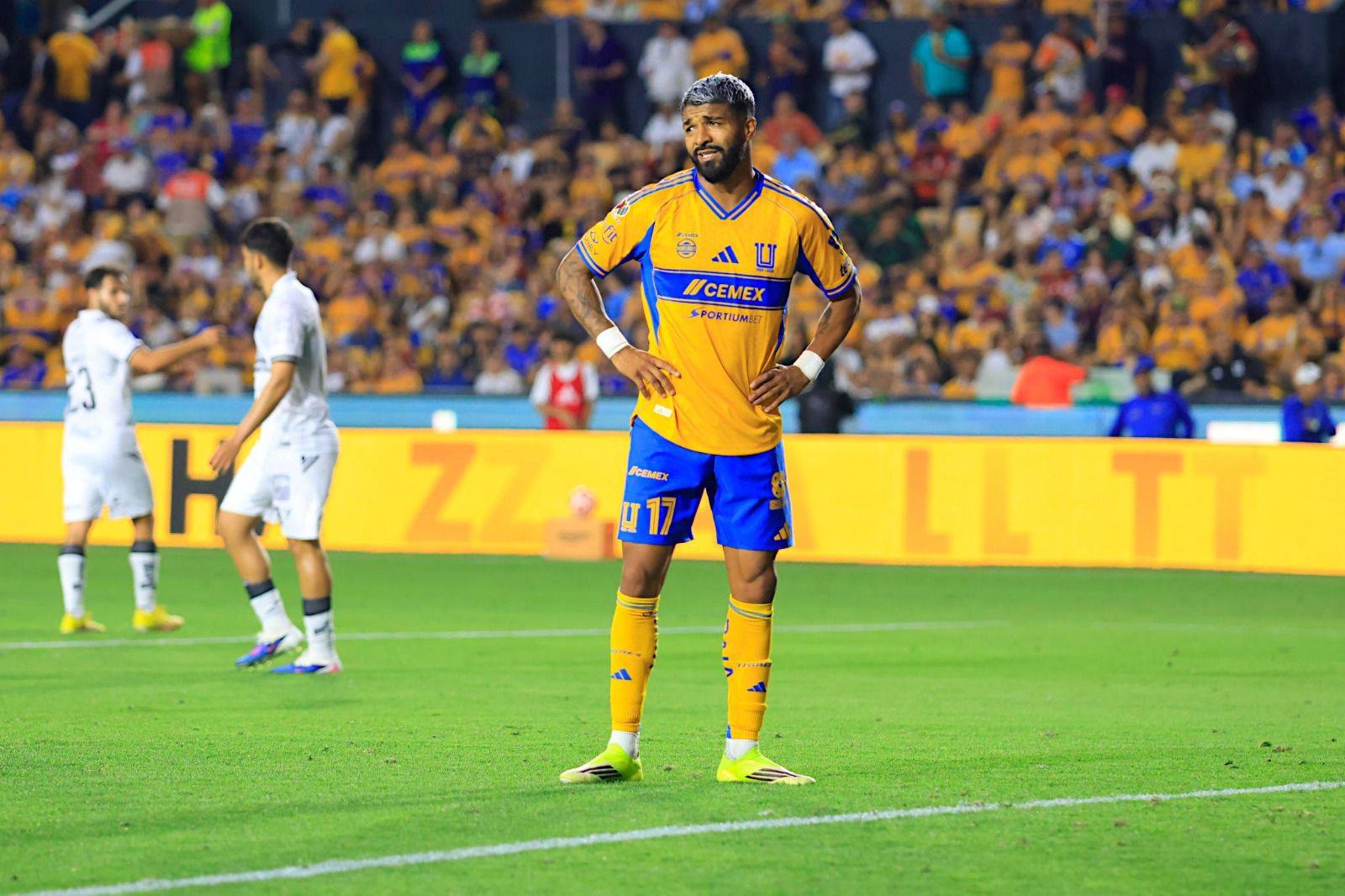 WhatsApp Image 2026-03-15 at 7.25.21 PM.jpeg