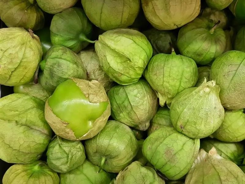 WhatsApp Image 2026-03-17 at 16.34.42.jpeg