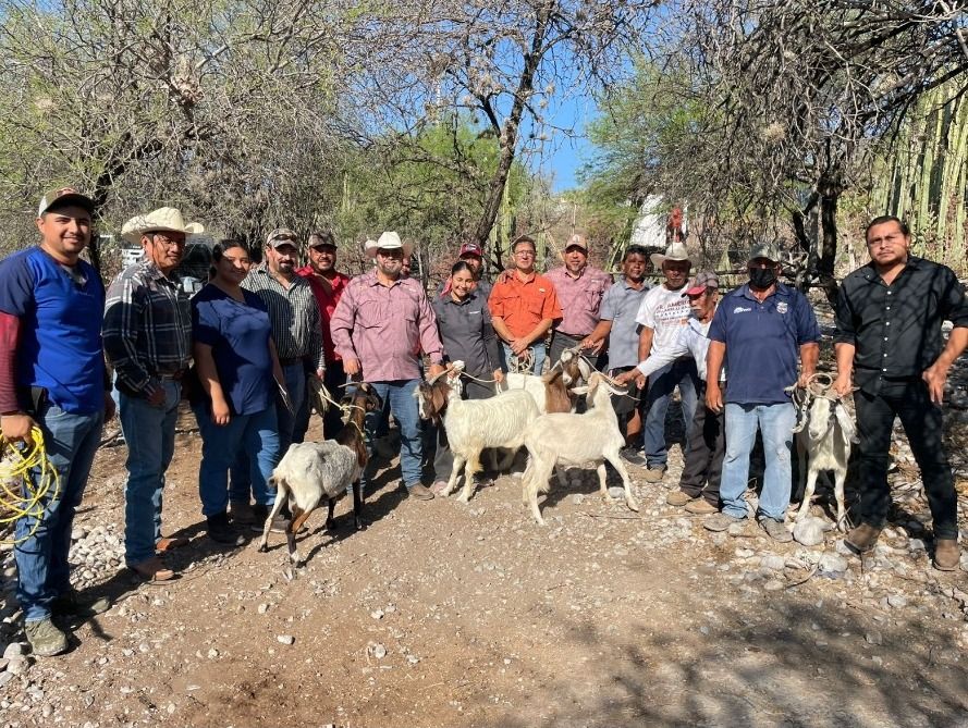 WhatsApp Image 2026-03-17 at 2.02.53 PM.jpeg