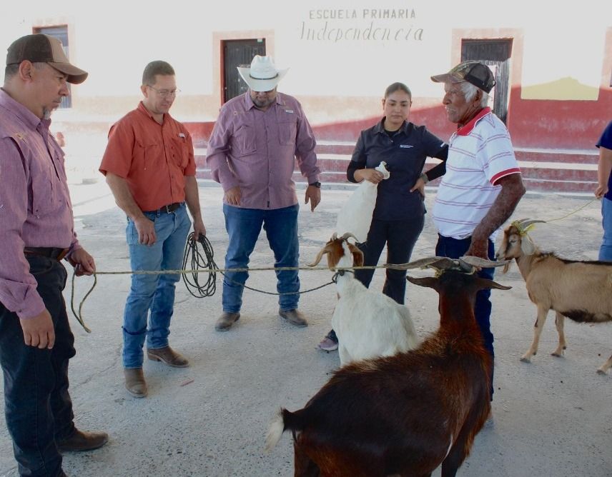 WhatsApp Image 2026-03-17 at 2.02.54 PM.jpeg