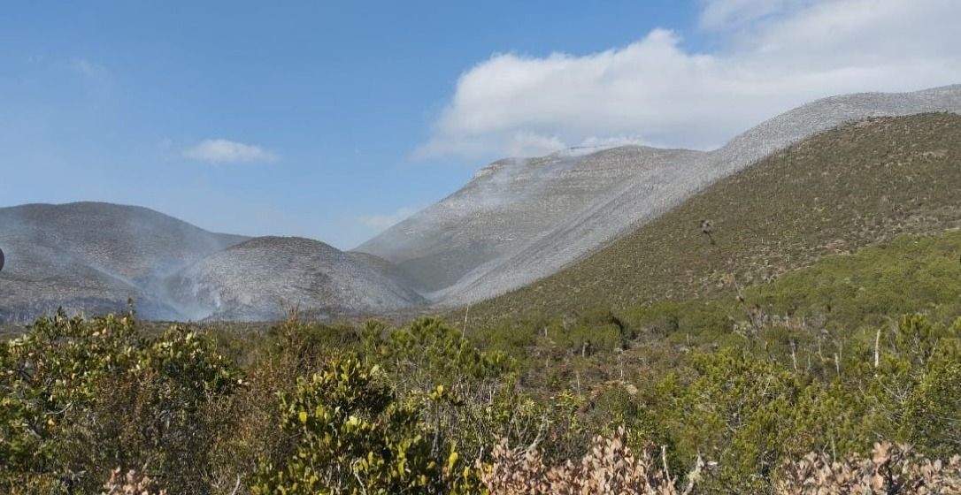 WhatsApp Image 2026-03-17 at 5.11.47 PM.jpeg