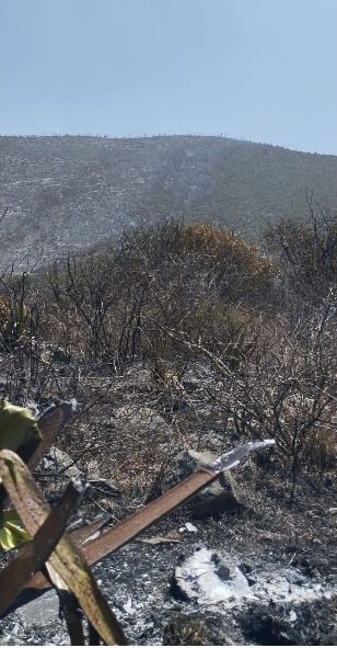 WhatsApp Image 2026-03-17 at 5.11.47 PM (1).jpeg