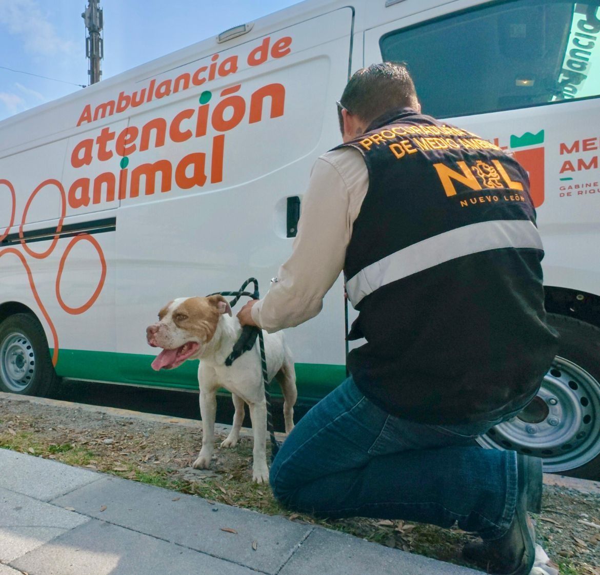 WhatsApp Image 2026-03-17 at 5.27.08 PM.jpeg