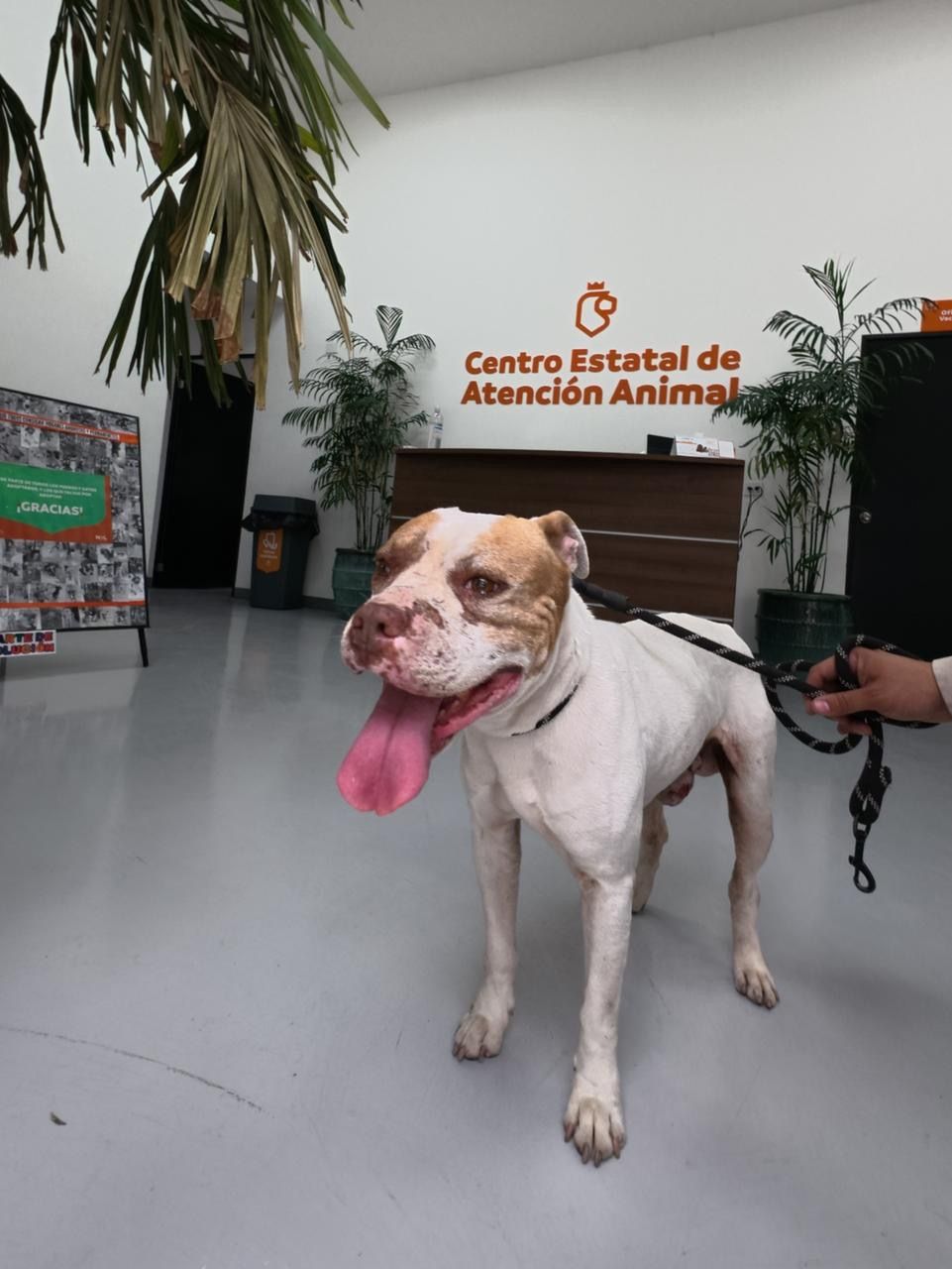 WhatsApp Image 2026-03-17 at 5.27.47 PM.jpeg