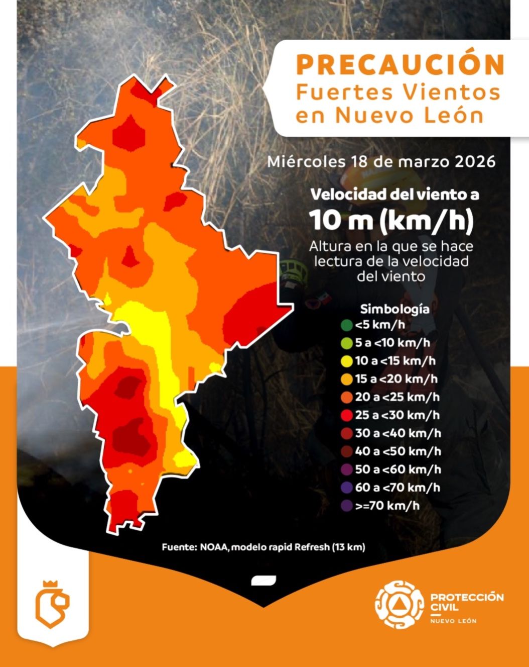 WhatsApp Image 2026-03-18 at 16.28.50.jpeg