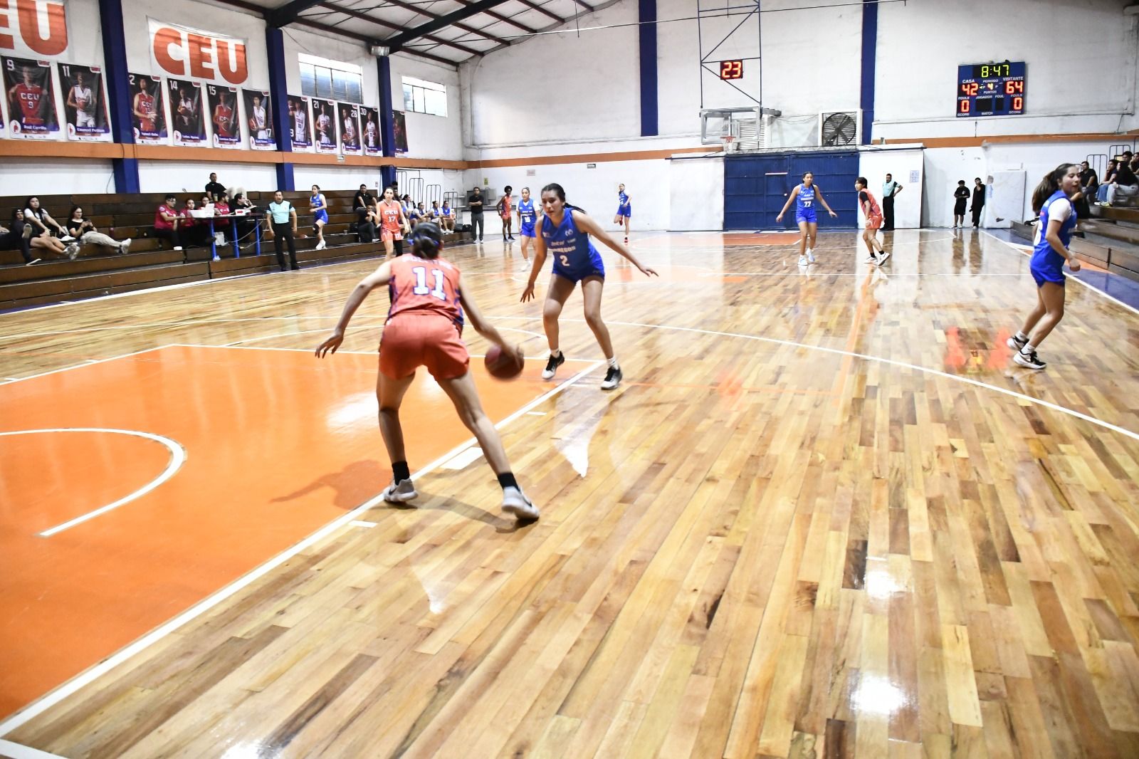 WhatsApp Image 2026-03-18 at 1.21.14 AM.jpeg