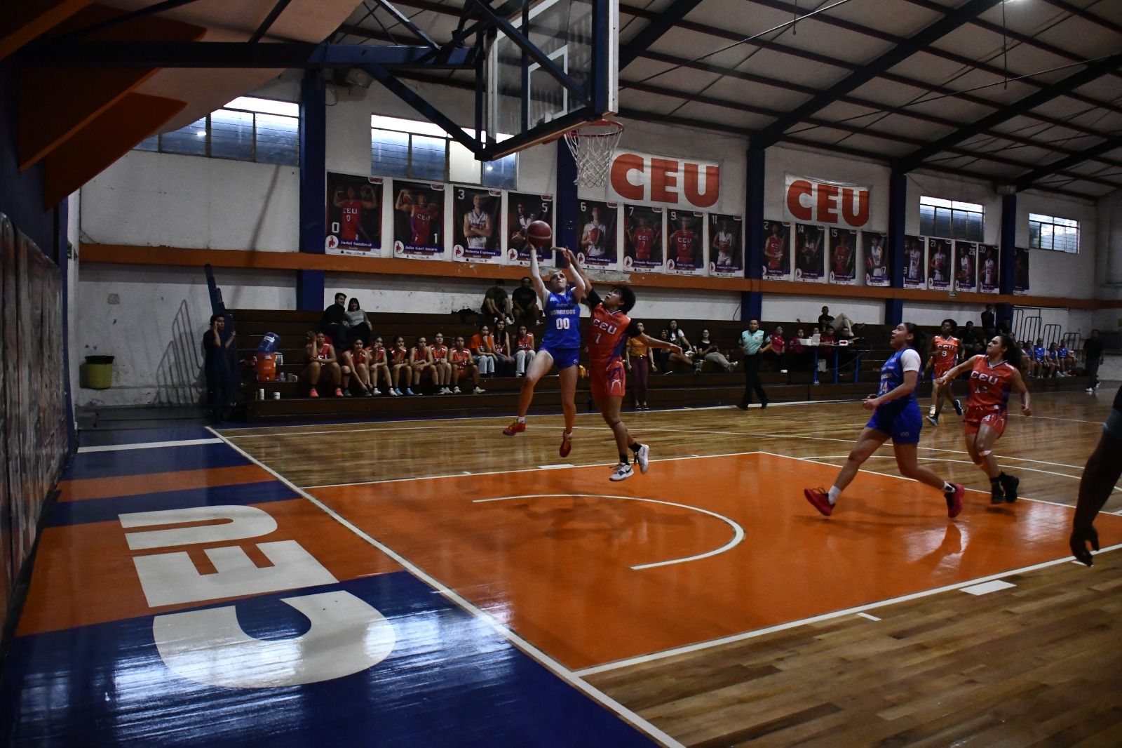 WhatsApp Image 2026-03-18 at 1.21.21 AM.jpeg