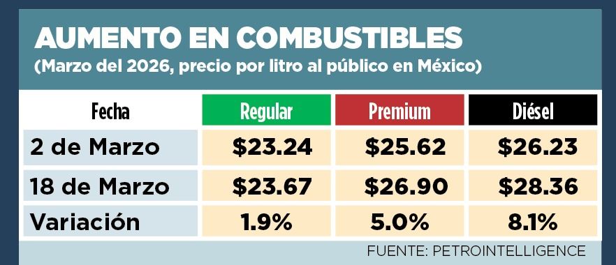 WhatsApp Image 2026-03-20 at 12.24.59 AM.jpeg