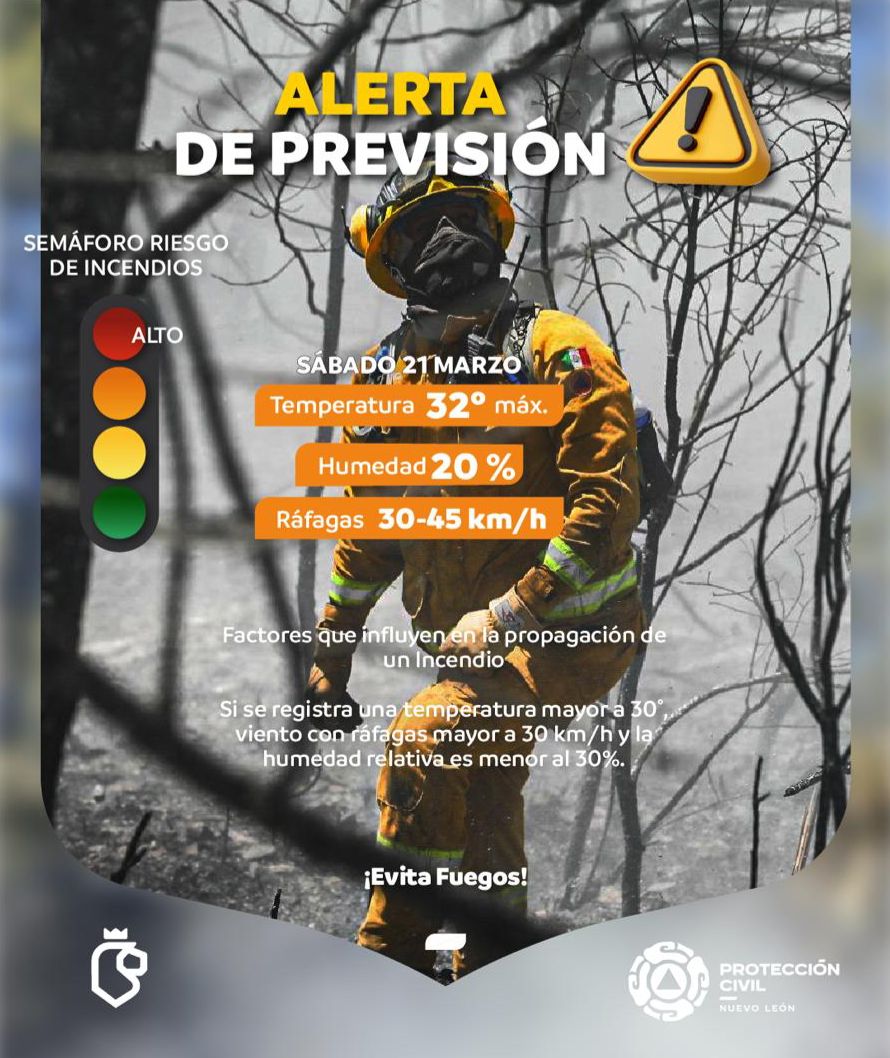 WhatsApp Image 2026-03-21 at 11.13.39.jpeg