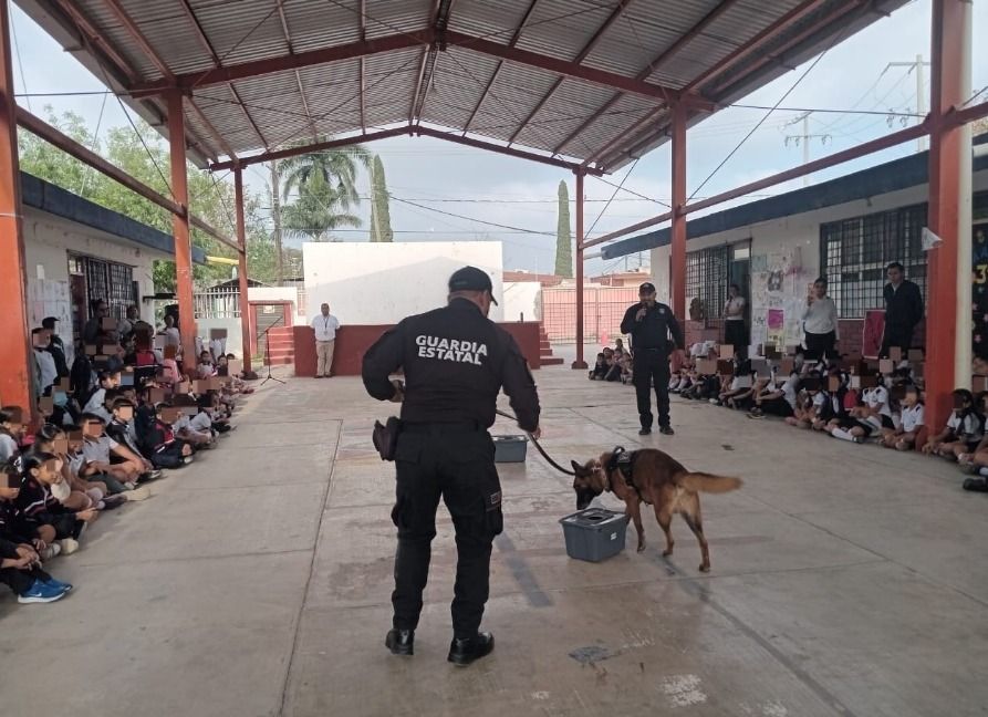 WhatsApp Image 2026-03-24 at 3.27.32 PM (1).jpeg