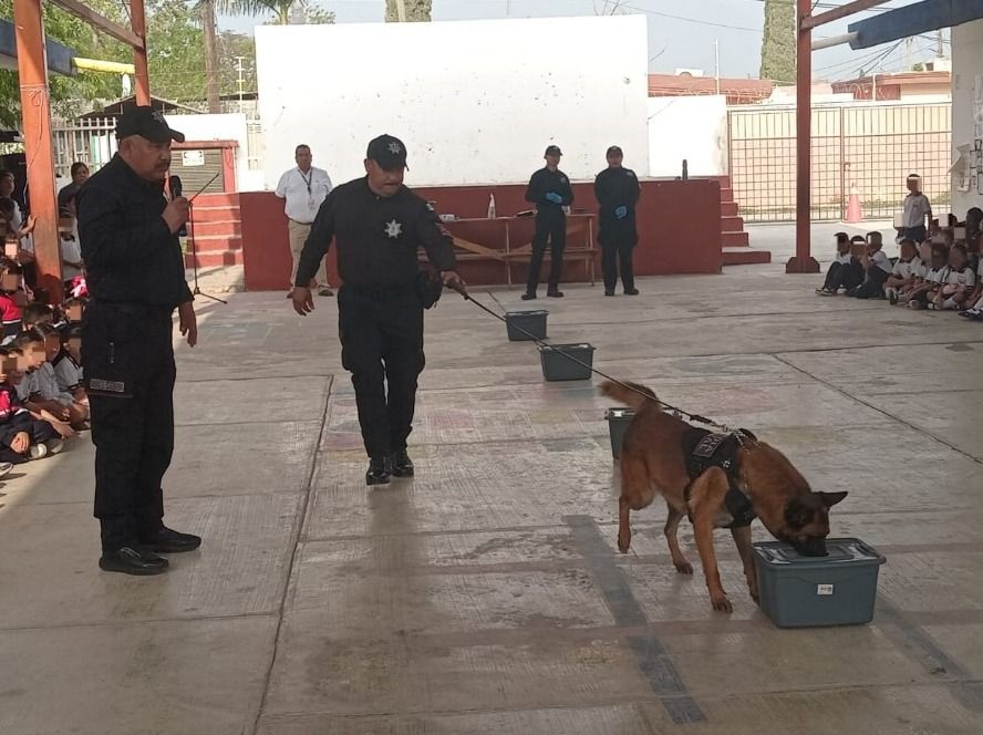 WhatsApp Image 2026-03-24 at 3.27.33 PM (1).jpeg