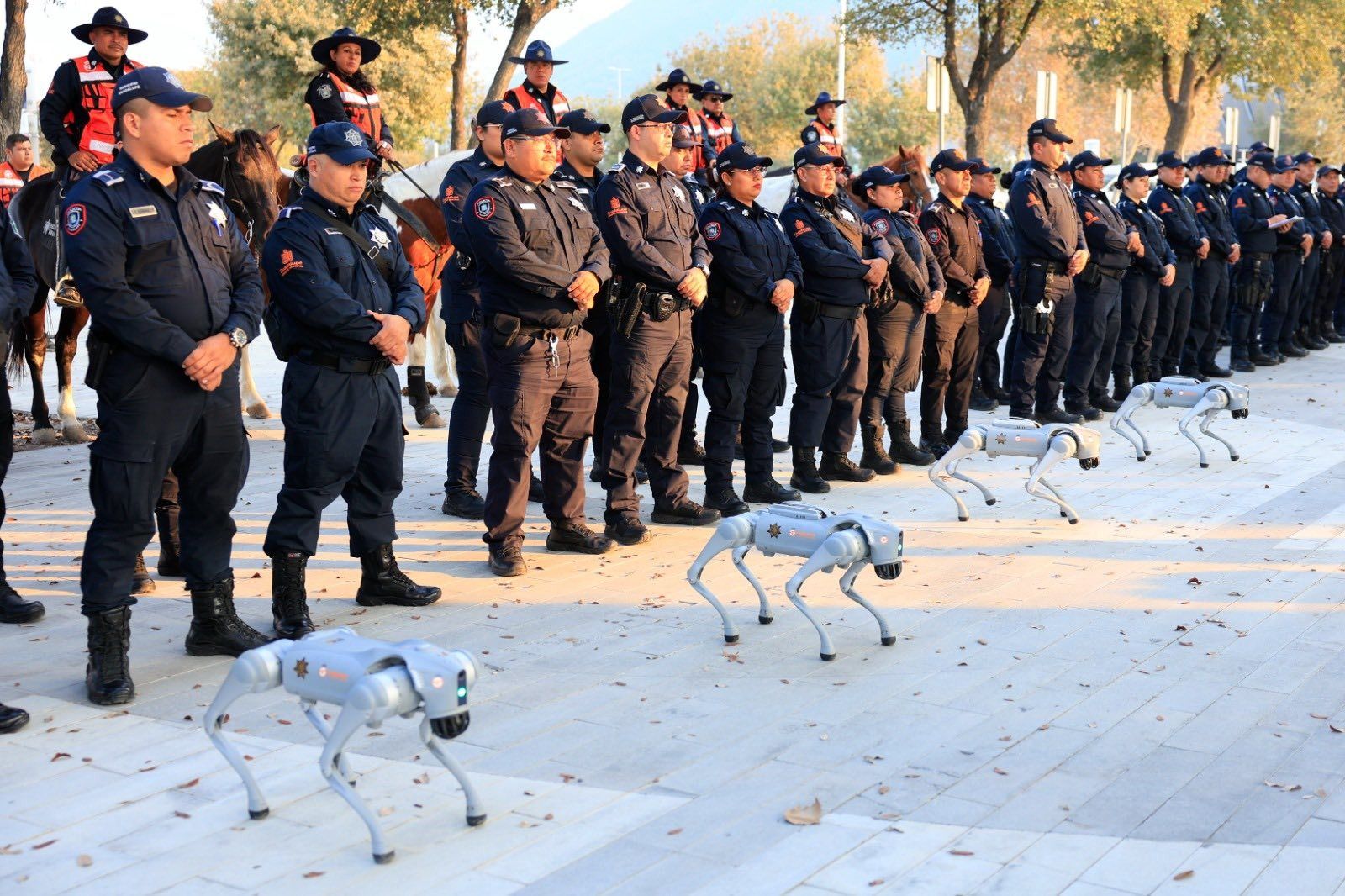 WhatsApp Image 2026-03-25 at 9.46.00 PM.jpeg