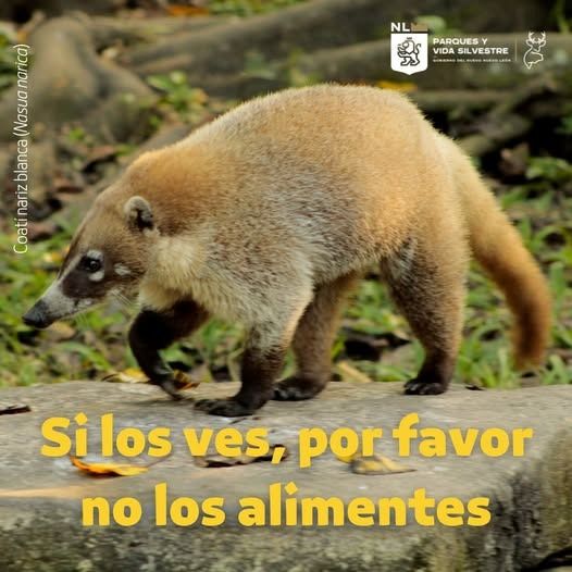 WhatsApp Image 2026-03-26 at 10.22.52 PM.jpeg