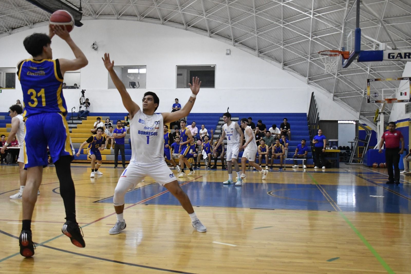 WhatsApp Image 2026-03-27 at 1.06.56 AM.jpeg