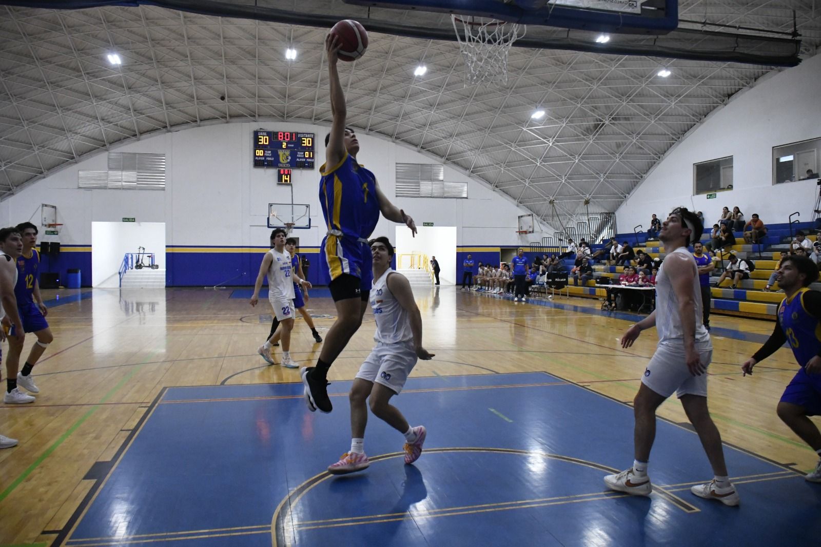 WhatsApp Image 2026-03-27 at 1.07.04 AM.jpeg