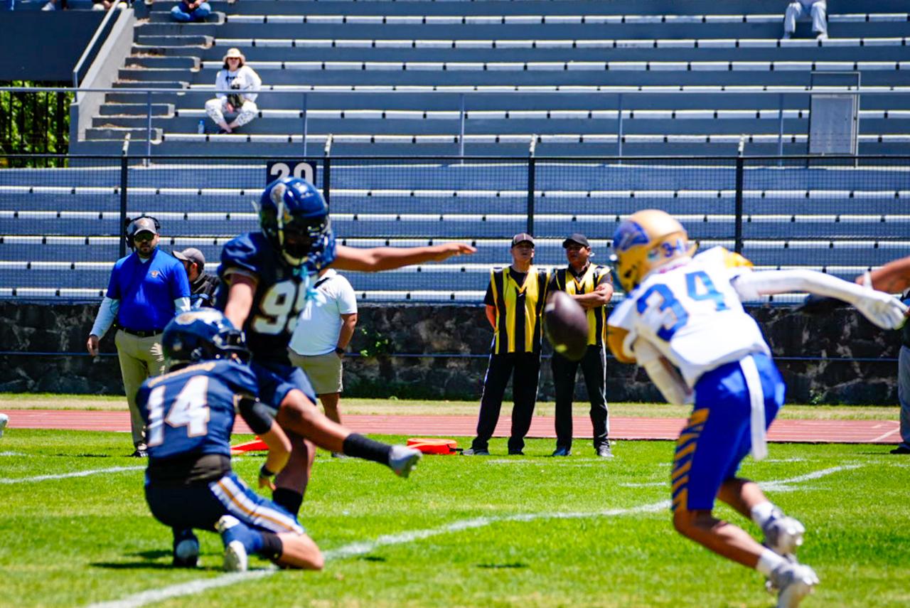 WhatsApp Image 2026-03-28 at 6.47.10 PM.jpeg