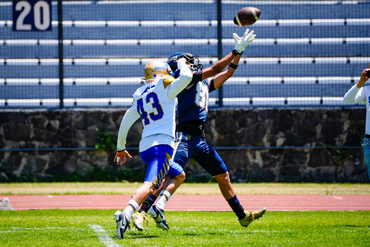 WhatsApp Image 2026-03-28 at 6.47.10 PM (1).jpeg