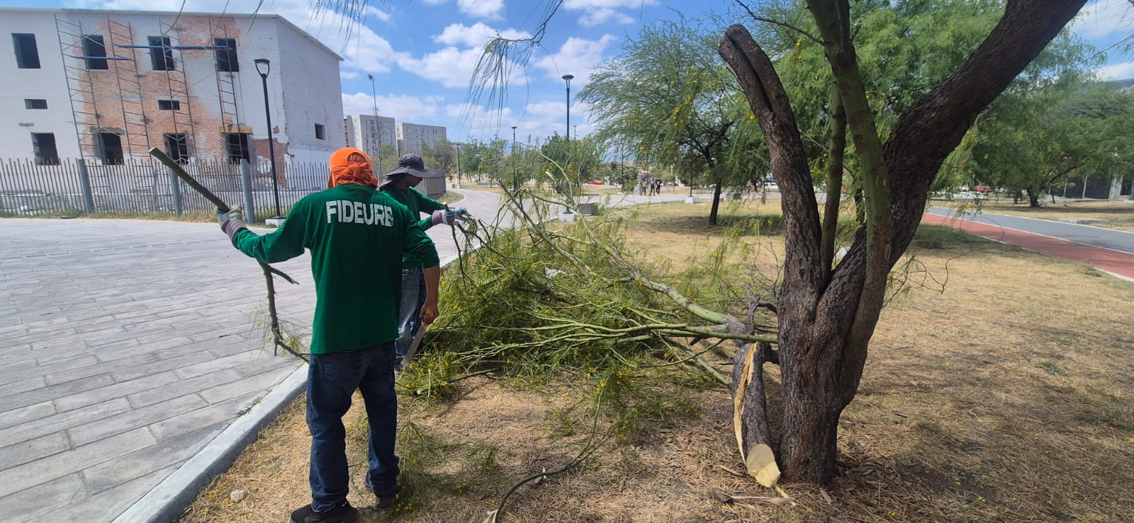 WhatsApp Image 2026-03-29 at 5.32.42 PM.jpeg