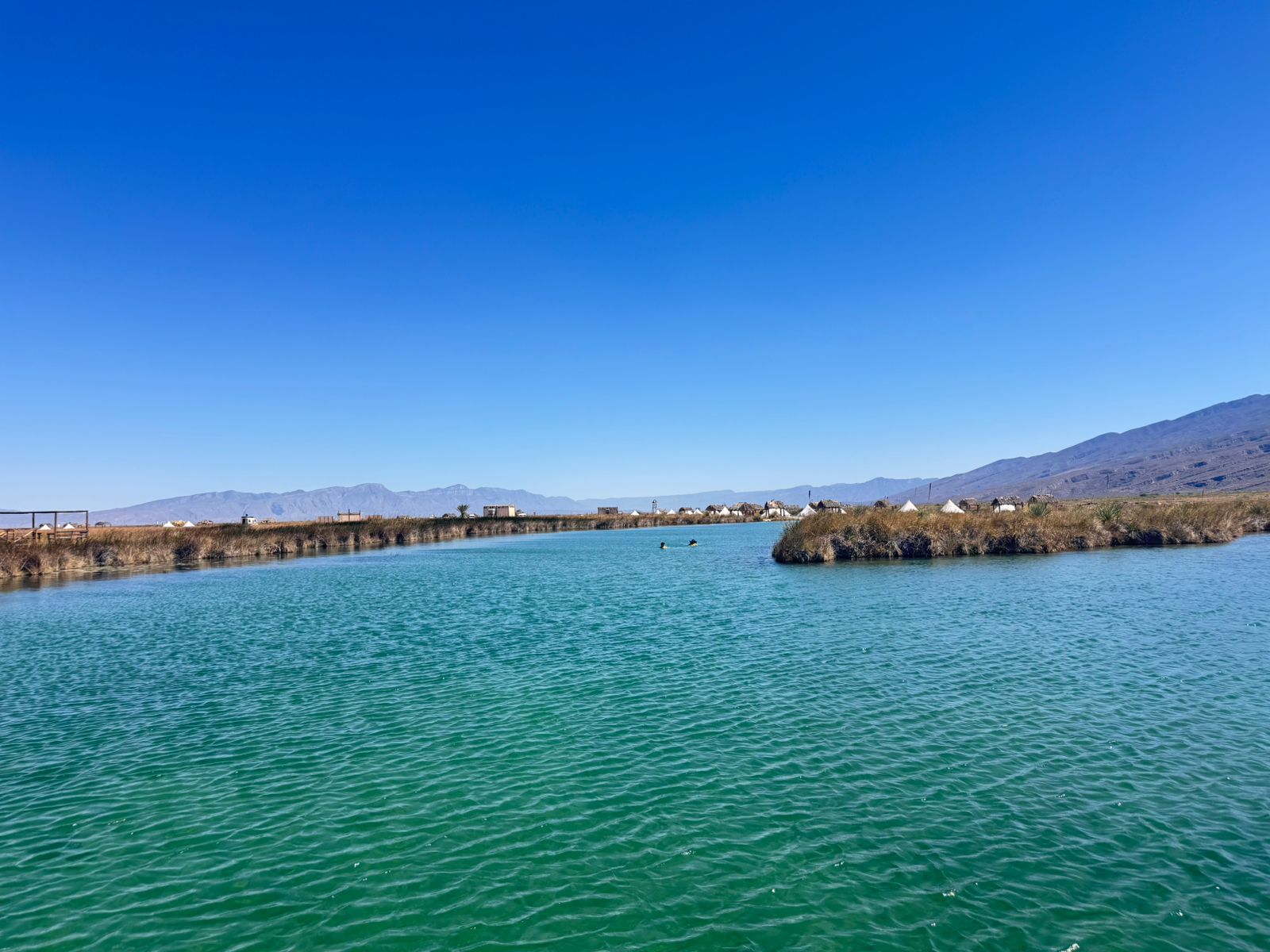 WhatsApp Image 2026-03-31 at 09.10.32 (1).jpeg