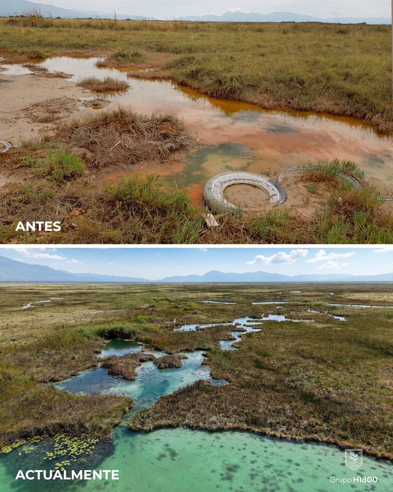 WhatsApp Image 2026-04-02 at 2.52.47 PM.jpeg