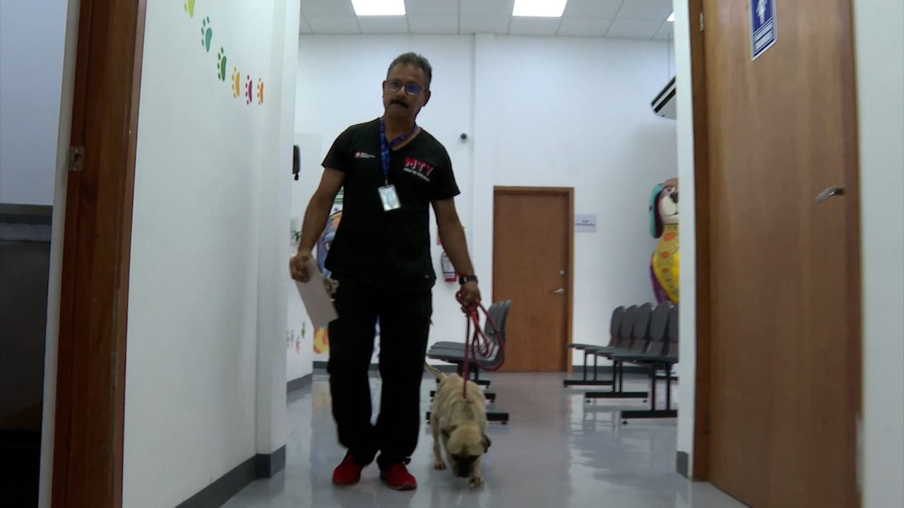 WhatsApp Image 2026-04-02 at 6.42.56 PM (2).jpeg