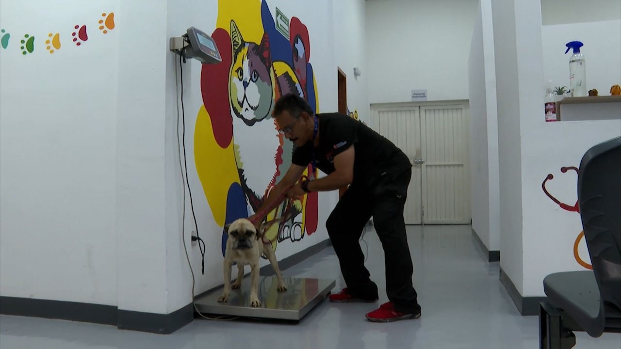 WhatsApp Image 2026-04-02 at 6.42.57 PM.jpeg