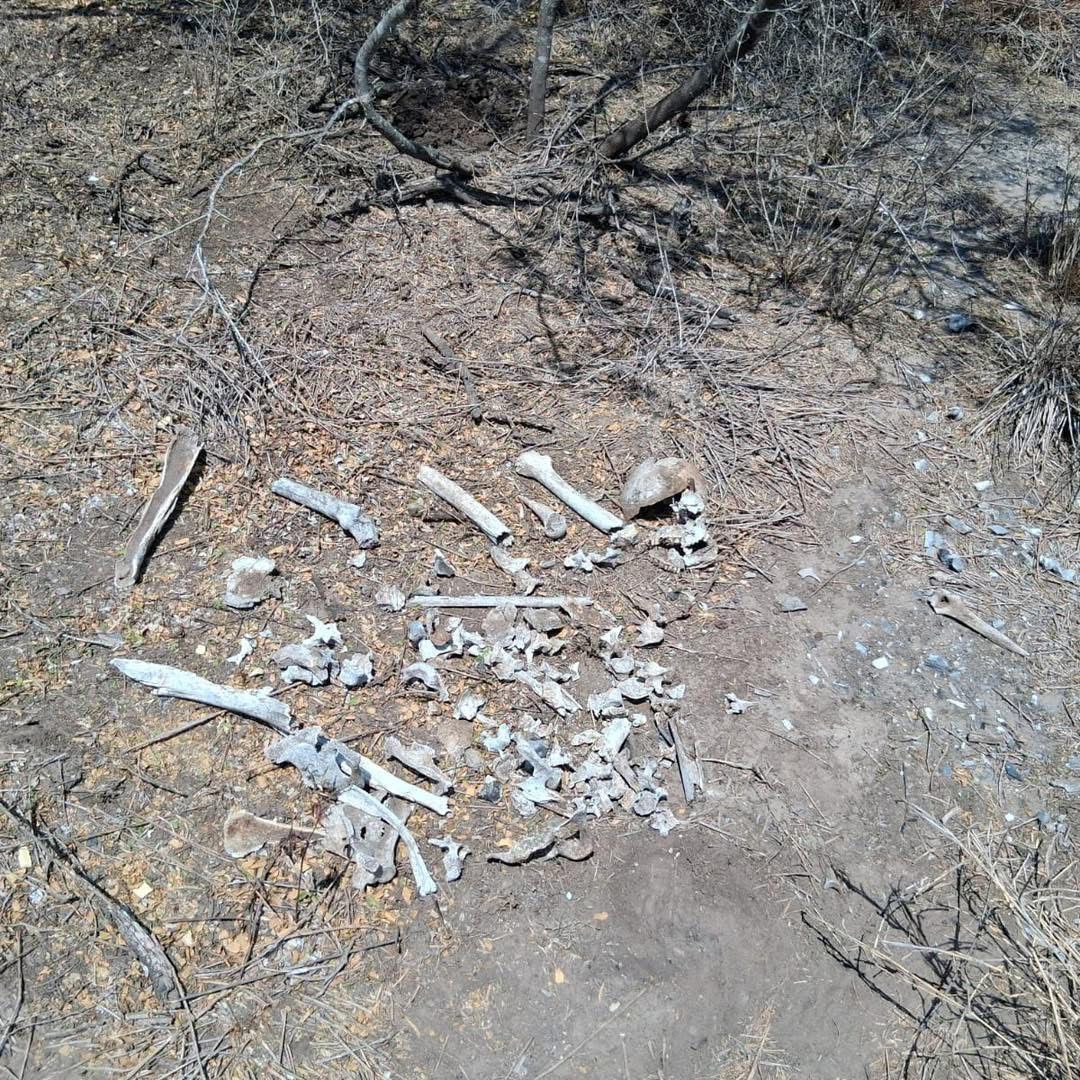 WhatsApp Image 2026-04-03 at 2.54.12 PM.jpeg