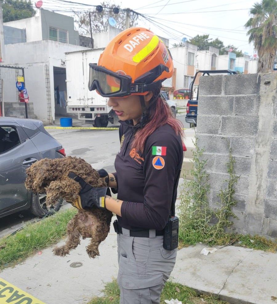 WhatsApp Image 2026-04-04 at 11.10.19 AM.jpeg