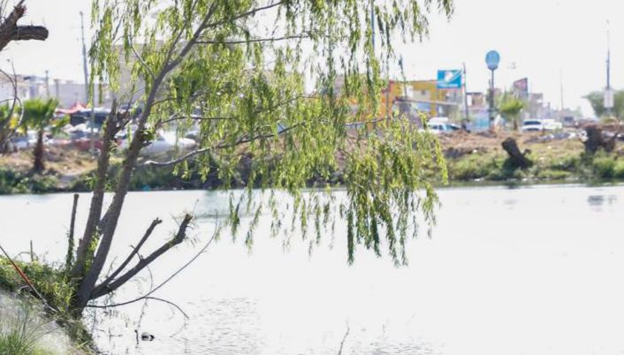 WhatsApp Image 2026-04-04 at 3.29.40 PM (1).jpeg