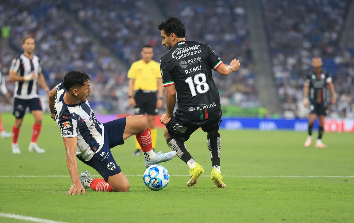 WhatsApp Image 2026-04-04 at 6.55.40 PM.jpeg