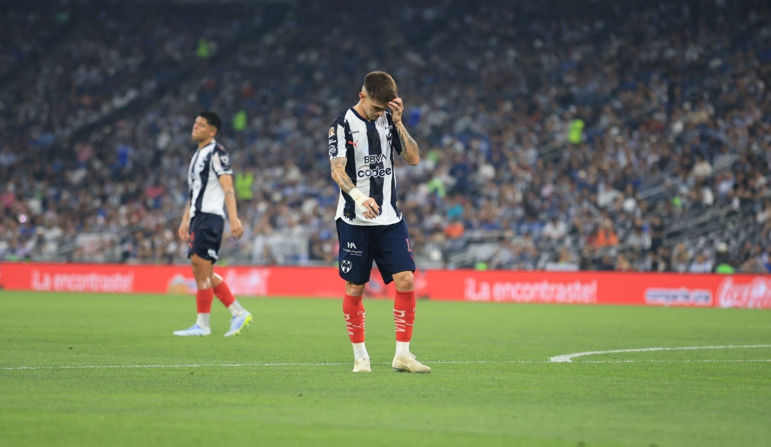 WhatsApp Image 2026-04-04 at 7.09.30 PM.jpeg