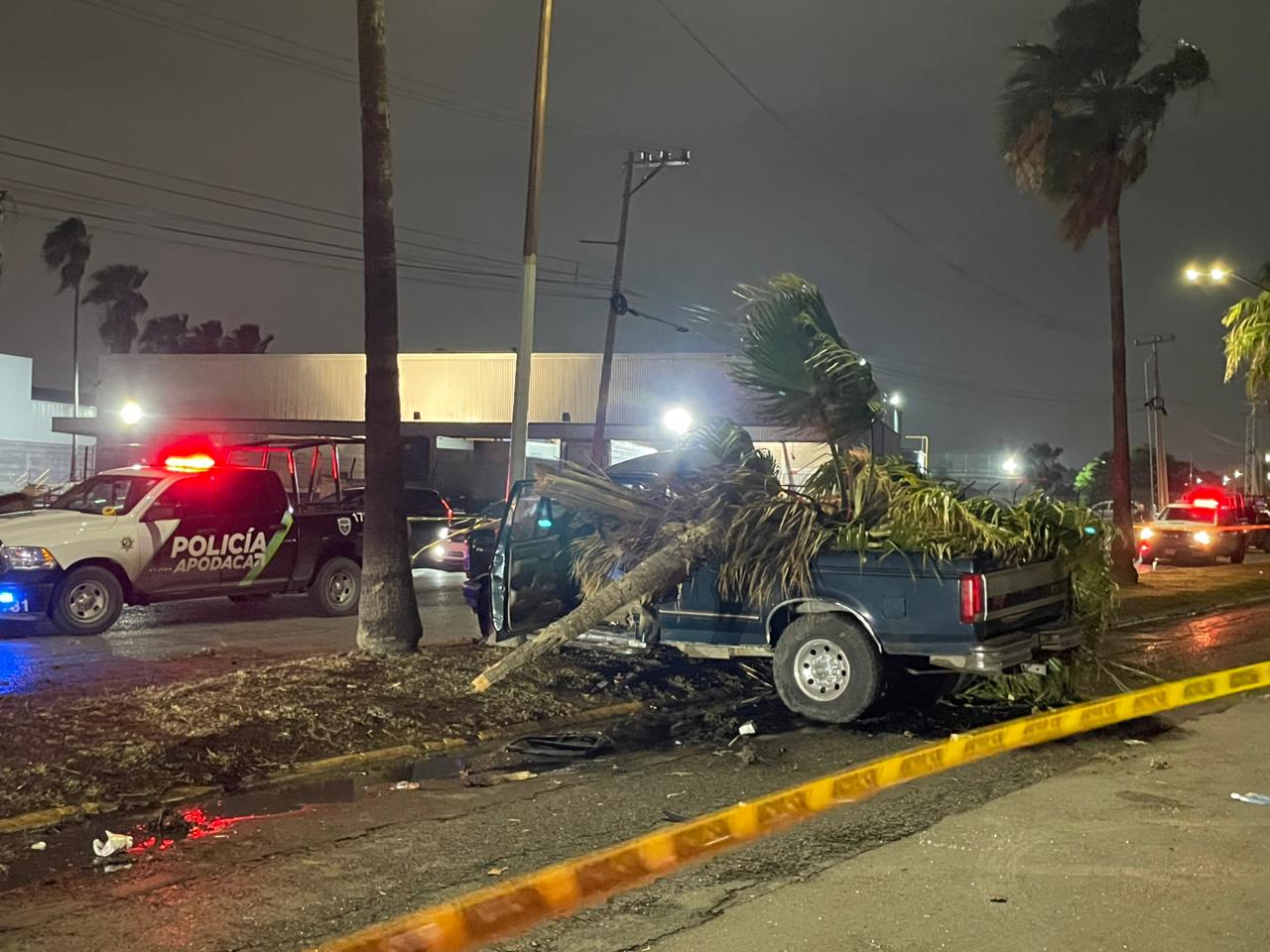 WhatsApp Image 2026-04-04 at 8.03.43 PM.jpeg