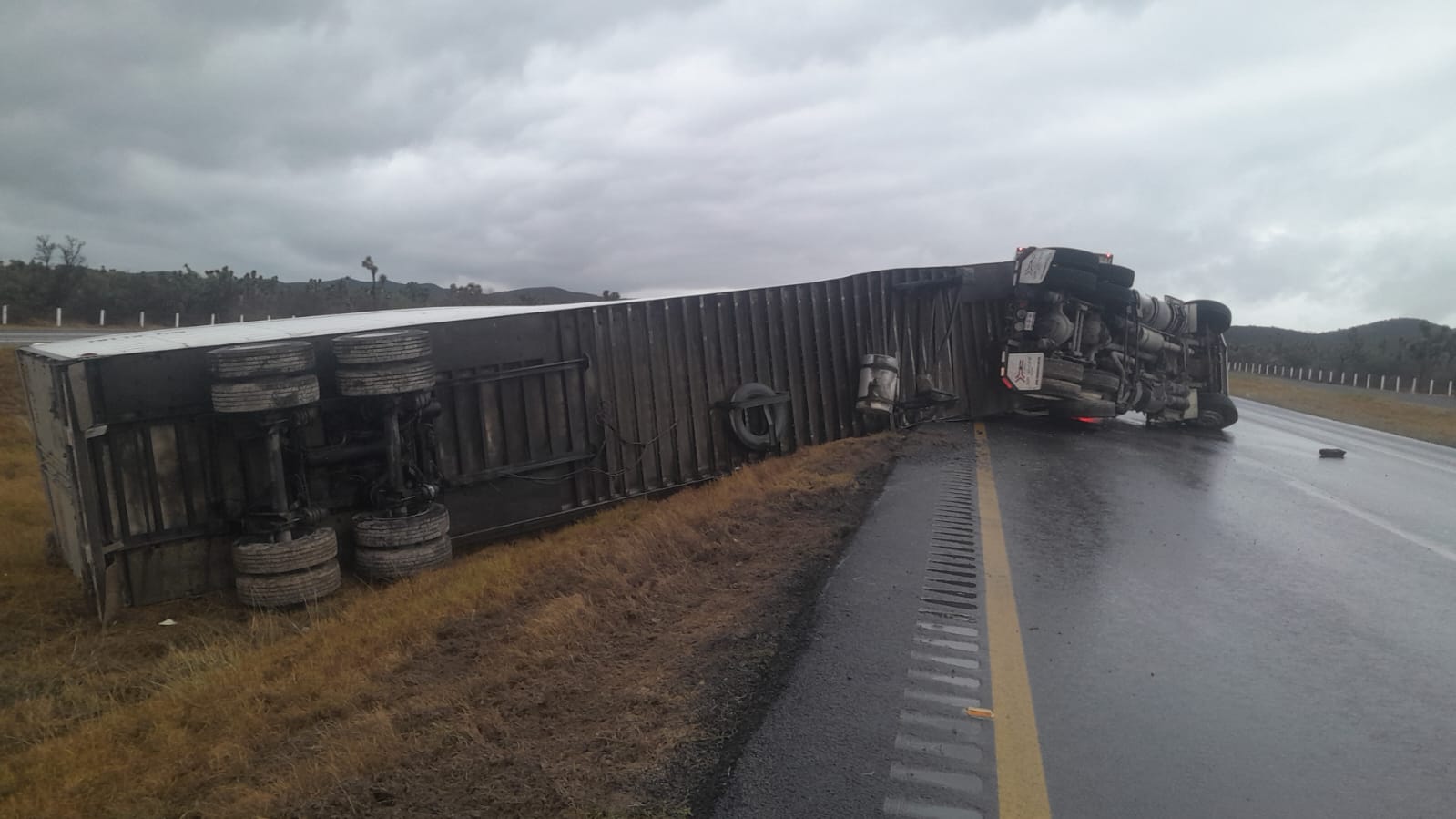 WhatsApp Image 2026-04-05 at 08.58.29.jpeg