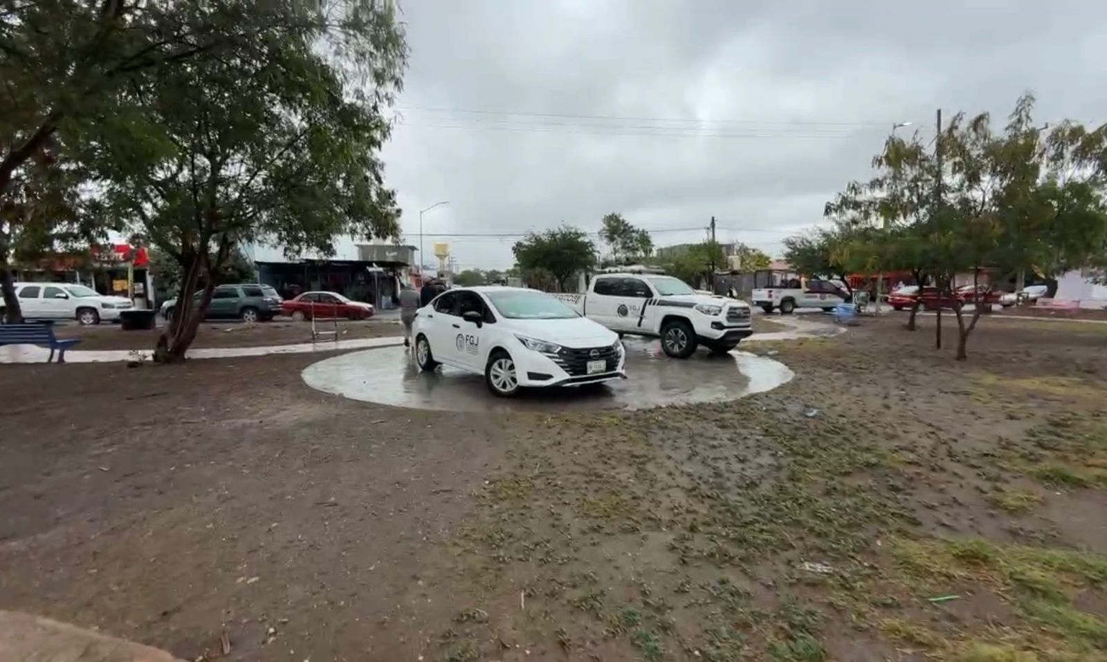 WhatsApp Image 2026-04-05 at 12.50.44.jpeg