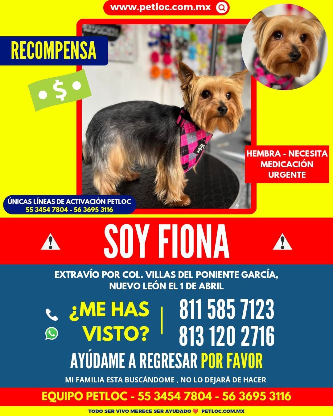 WhatsApp Image 2026-04-07 at 10.00.55.jpeg