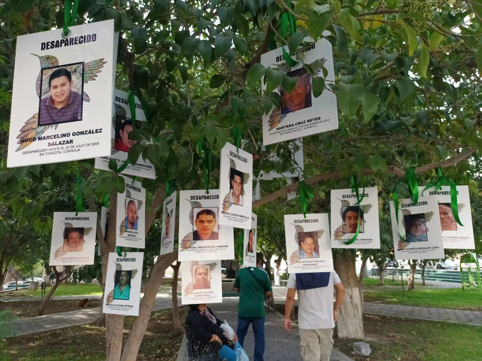 WhatsApp Image 2026-04-08 at 2.41.00 PM.jpeg