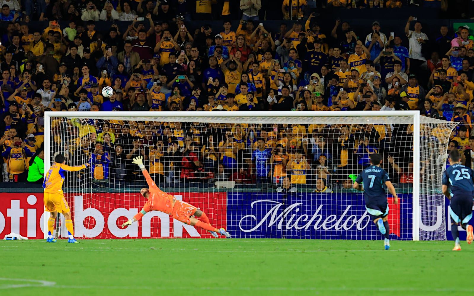 WhatsApp Image 2026-04-08 at 8.31.38 PM (1).jpeg