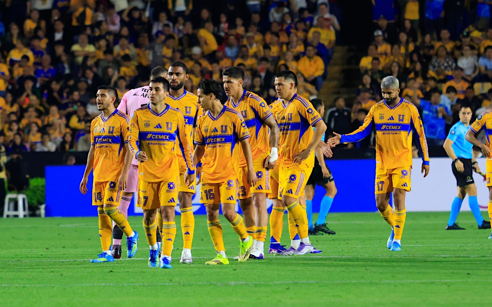 Tigres tristes
