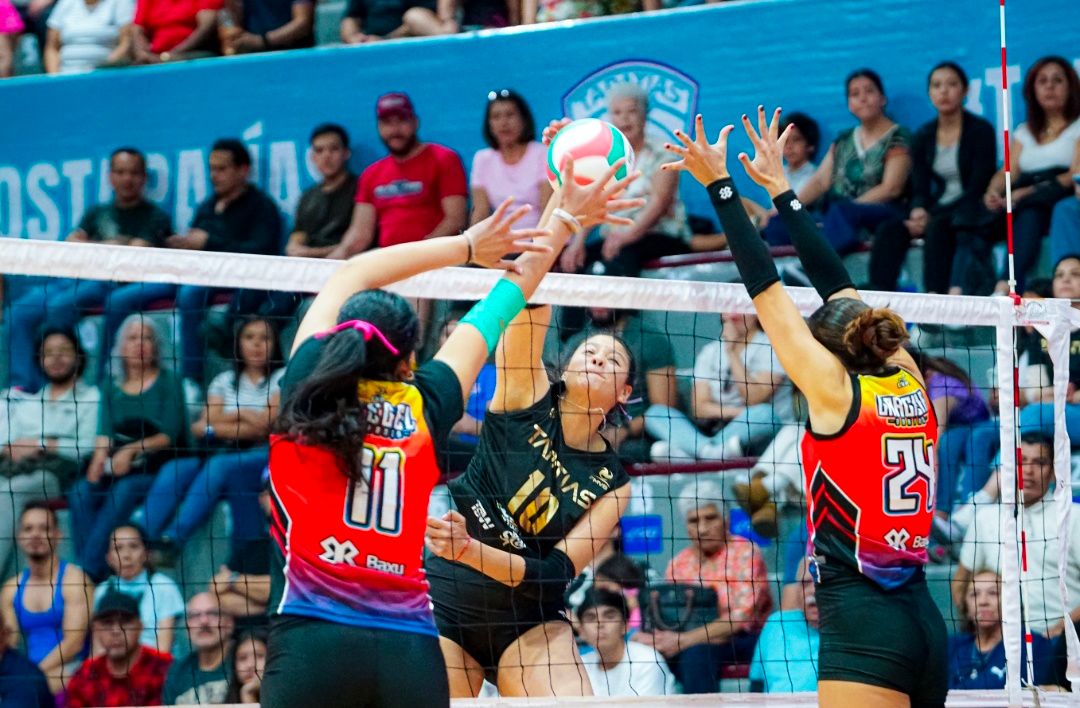 WhatsApp Image 2026-04-10 at 6.06.06 PM.jpeg