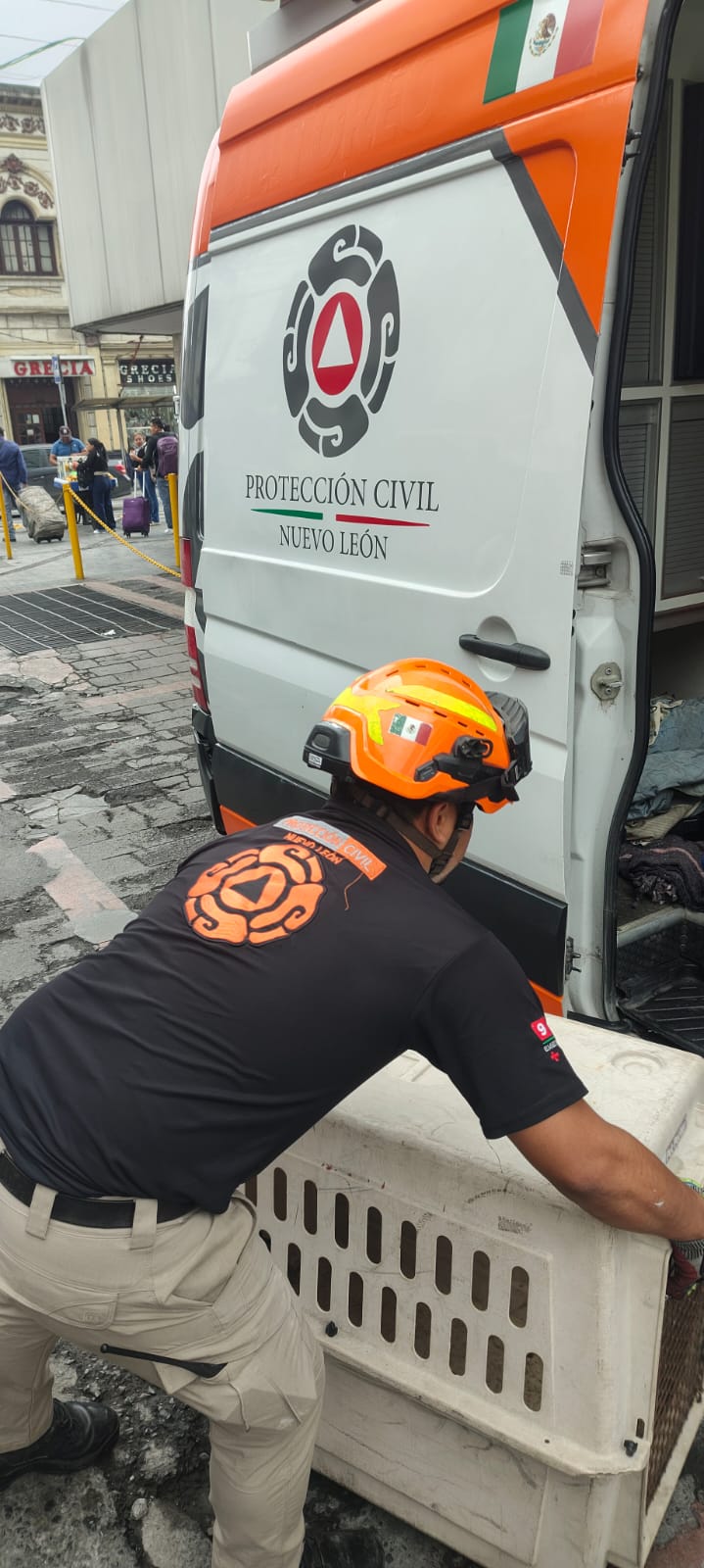 WhatsApp Image 2026-04-10 at 6.39.52 PM (1).jpeg