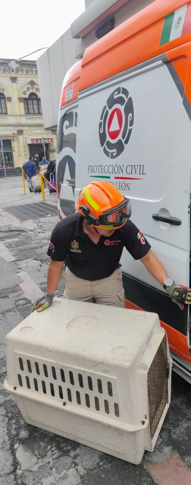 WhatsApp Image 2026-04-10 at 6.39.53 PM.jpeg