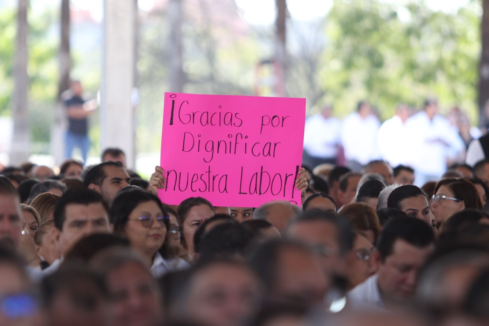 WhatsApp Image 2026-04-13 at 13.27.14 (2).jpeg