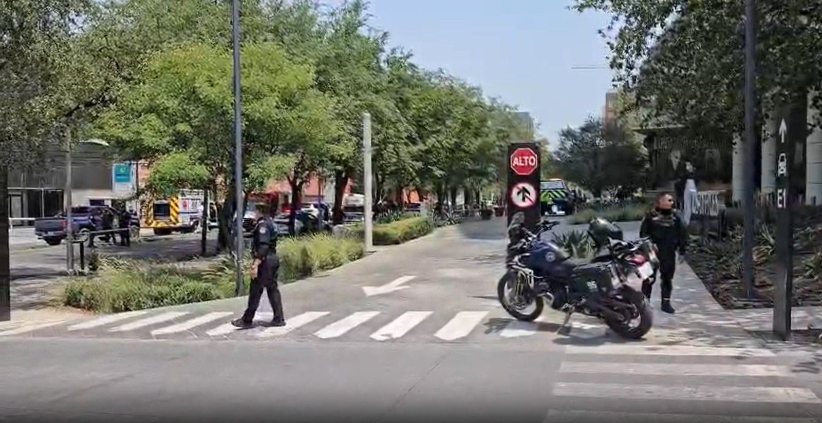 WhatsApp Image 2026-04-14 at 8.02.06 PM.jpeg